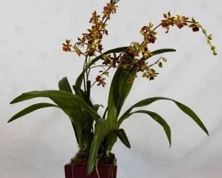 996 - Faux Plant 28"