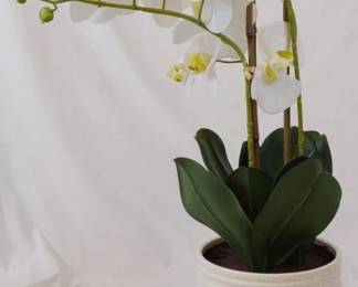 804 - Faux Orchid - 24" Tall