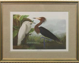 9041 - PURPLE HERON BY JOHN J AUDUBON 29 X 22.5