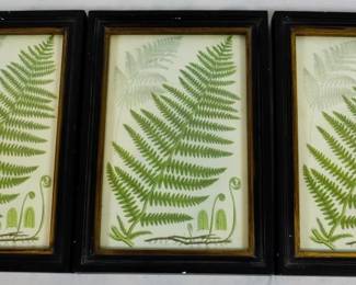 1058 - 3 Decorative Frames 10.5x7