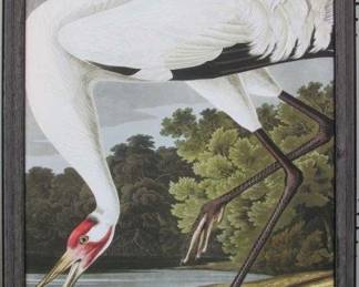 9067 - HOOPING CRANE ADULT ON CANVAS BY JOHN J AUDUBON 19.5 X 27.5