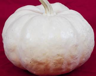 1334 - Decorative Pumpkin 7"