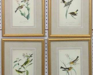 9032 - 4 ANTIQUE BIRDS BY JOHN J AUDUBON 12 X 16.5