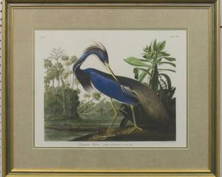 9040 - LOUISIANA HERON BY JOHN J. AUDUBON 26.25 X 22.25