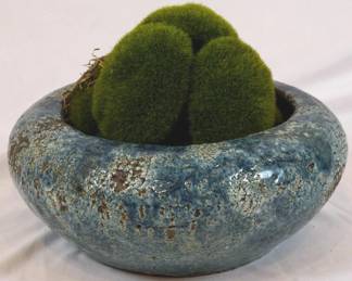 959 - Bowl w/ Moss 8"
