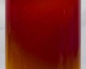 1056 - Orange and Red Glass Vase 20"