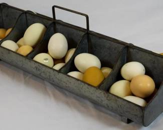 1001 - Galvanized Egg Carrier w/ Fake Eggs 8x20x8