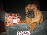 WOOF WOOF!! Princess Says
DONT MISS THIS SALE!!