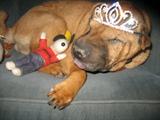 Royalty Hard at work!!
PRINCESS LOVES SASSIE'S!!