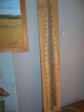 Rattlesnack Skin.With Rattler