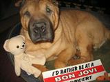 I am Princess and I love Sassie's! She gets her wish in 12 days :).