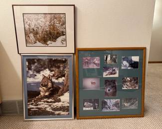 Wildlife Framed Prints