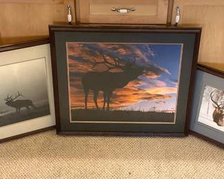 Ervin, Hager Framed Wildlife Prints