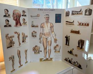 Antique School Science Poster / Chart 