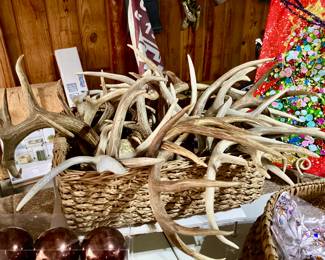 Deer Antlers