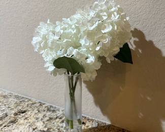 Listing photos41Feb 12 2025 02 23pmsFQV