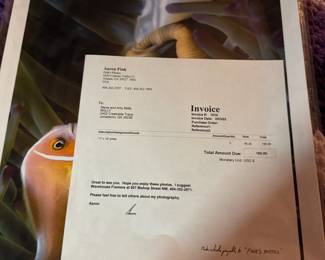 Under Water Photos Local Artist Aaron Fink