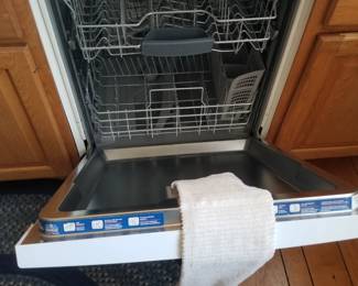 Dishwasher with stainless steel interior