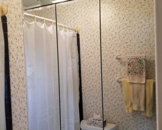 Mirrored medicine chest