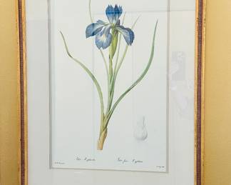  Iris Print #2  30"H x 21.5"W