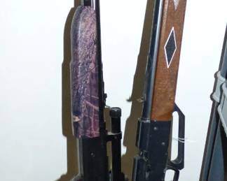 BB guns & Pellet Rifles