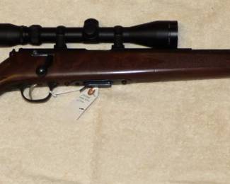 Savage Model 93 R17, .17 Cal, Bolt Action with Bull Barrel with Simmons Scope