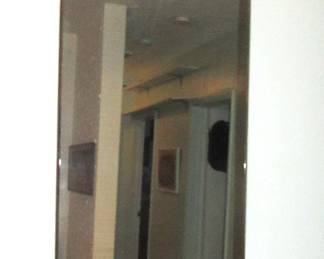 Lynn long mirror