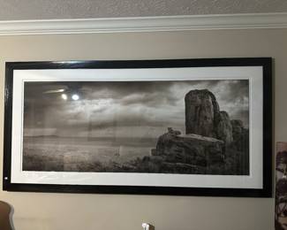  Massive Nick Brandt Limited Edition Print