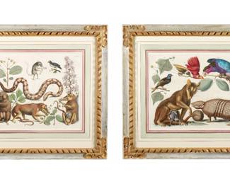 Lot 210: Pair 18th C Albertus Seba Animal Engravings