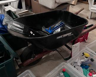 Spring is in the air