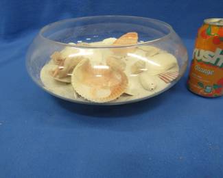 Lot 128. Seashore terrarium