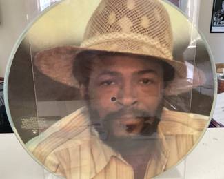 MARVIN GAYE DREAM OF A LIFETIME PICTURE DISC VINYL ALBUM