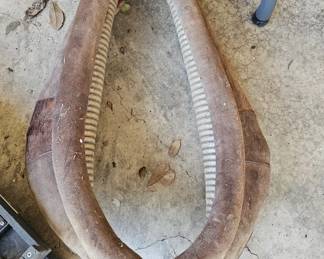 Horse halter