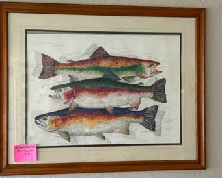 Framed Fish art