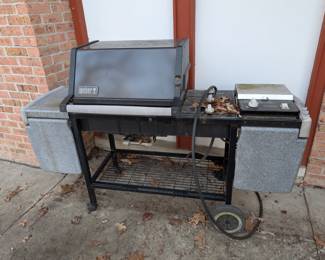 Weber Grill
