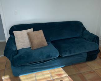 Sleeper sofa 