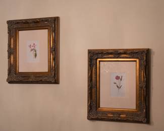 Pair of botanical prints in ornately modeled gilded frames