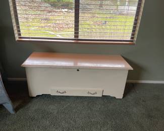 Cedar trunk 