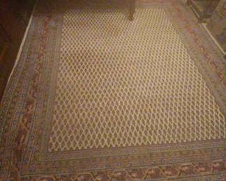 Hand Knotted Wool Rug