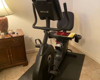 Sole Fitness Bike
