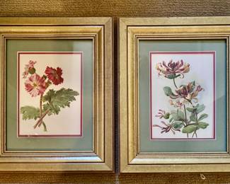 Framed Botanical Prints