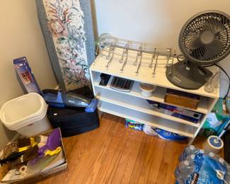 Bins, Fan