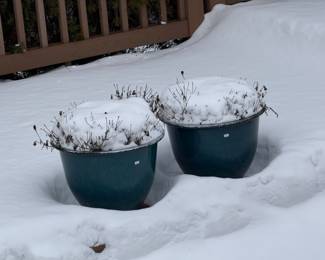 Planters