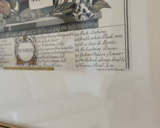 Robert Furber framed floral prints from the "12 Months of Flowers" series