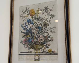 Robert Furber framed floral prints from the "12 Months of Flowers" series