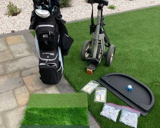 AM106VCobra golf club set and hotscot golf carrier plus more