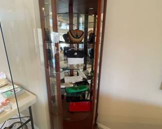 Curved glass curio cabinet - with lighting