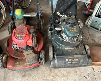 Larn Mower and Leave Vac