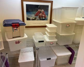 Stainless steel racks, storage bins and framed print