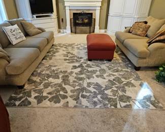 $80 Large Ginko area rug